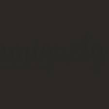 Shadow Cardstock 12 x 12