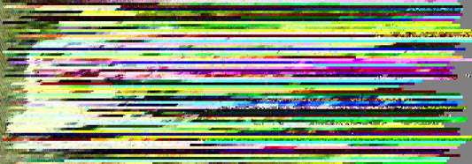 Summer Memories Title