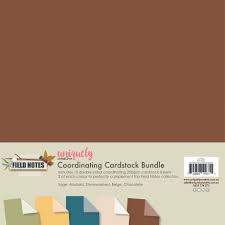 Field Notes Co-Ordinating Cardstock